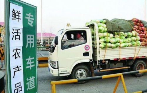 貨車司機(jī)夏天最不愿意拉的5種貨物，拉完一趟10天都緩不過(guò)來(lái)